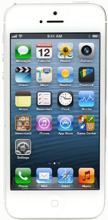 Смартфон Apple iPhone 5 32Gb White & Silver - Мыски