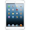 Apple iPad mini 16Gb Wi-Fi + Cellular белый - Мыски